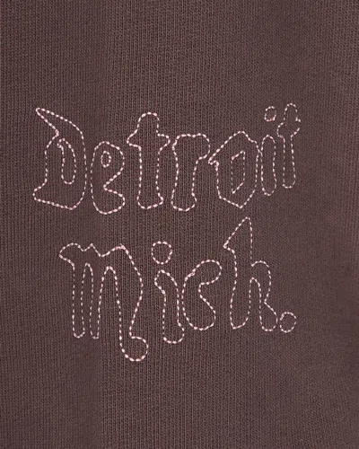 Carhartt Wip Chase Hoodie With Embroidered Logo In Brown