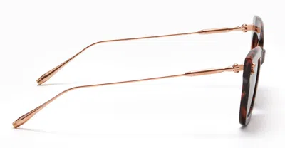 Akoni Sunglasses In Brown