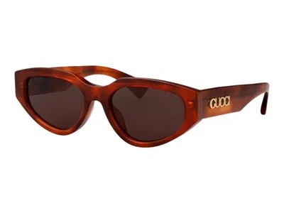 Pre-owned Gucci Cateye Sunglasses In Havana Brown (gg1845sa/002)