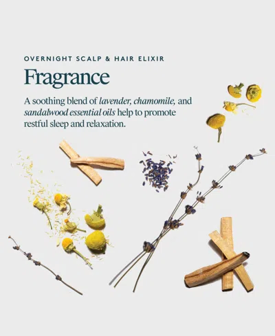 Virtue Overnight Scalp & Hair Elixir In Blue