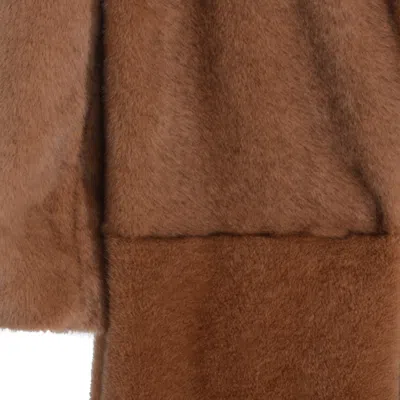 Antonelli Brown Tailored Coat With Structured Fit In Brown