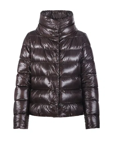 Herno Quilted High Collar Long Sleeve Jacket In Brown