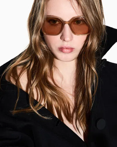 Armani Exchange Sunglasses In Brown