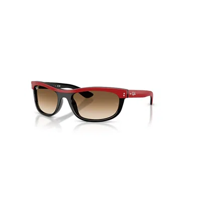 Ray Ban Balorama Street Neat Sonnenbrillen Rot Auf Schwarz Fassung Braun Glas 62-19 In Red