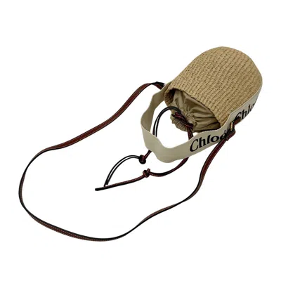 Pre-owned Chloé Beige Brown Straw Wisteria Vine Handbag Shoulder Bag () In Multi