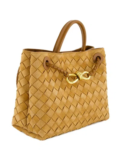 Bottega Veneta Women Andiamo Small Leather Tote Bag In Multi