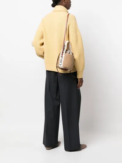 Chloé Women Woody Small Straw Bucket Bag In Brown