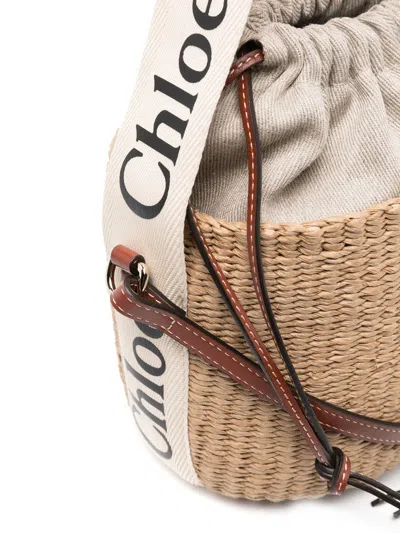 Chloé Women Woody Small Straw Bucket Bag In Brown