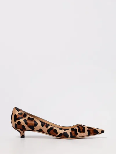Francesco Russo Francesco Caruso Pointed Toe Pumps In Brown