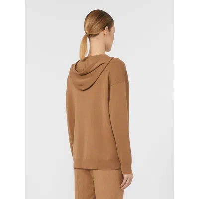 Max Mara Taddeus Hooded Sweater In Brown