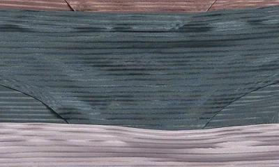 Danskin 5-pack Bonded Shadow Stripe Bikinis In Multi