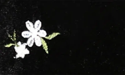 Zunie Kids' Floral Embroidered Long Sleeve Velvet Dress In Black