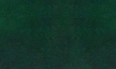 American Princess Velvet Tiered Mesh Party Dress In White