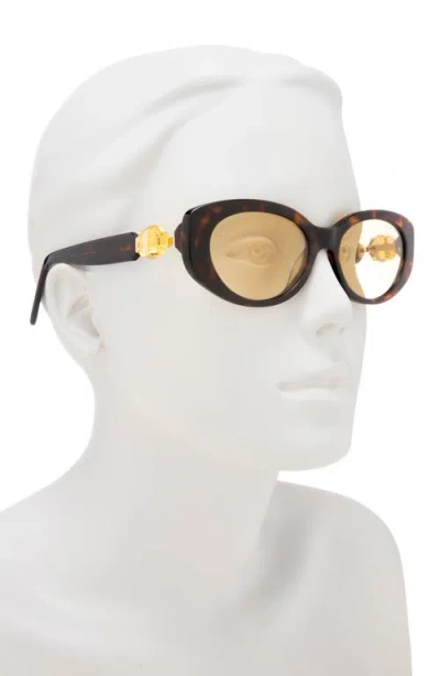 Swarovski 53mm Oval Sunglasses In Brown