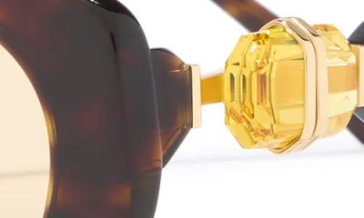 Swarovski 53mm Oval Sunglasses In Brown