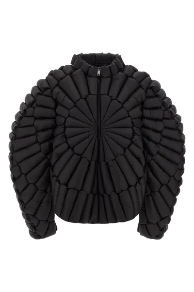 Raxxy Quilted Zip-front Padded Jacket In Black