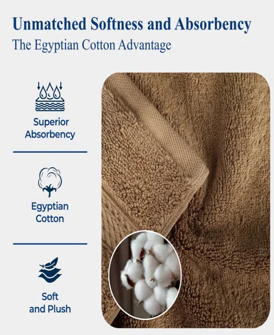 Superior Egyptian Cotton Highly Absorbent 2pc Ultra-plush Solid Bath Sheet Set In Brown