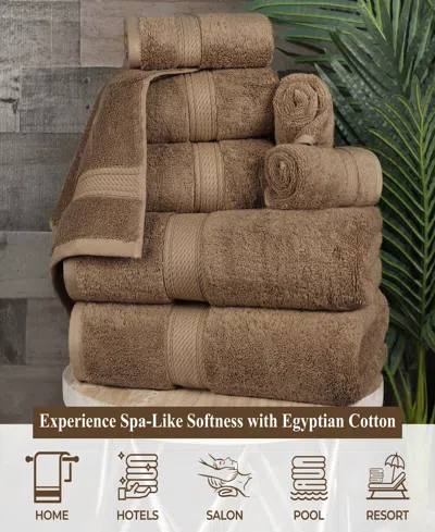 Superior Egyptian Cotton Highly Absorbent 2pc Ultra-plush Solid Bath Sheet Set In Brown