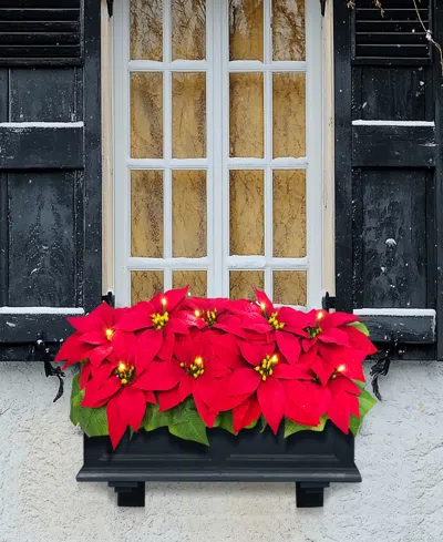 Puleo 24" Pre-lit Artificial Red Poinsettia Window Box Decor In Multi