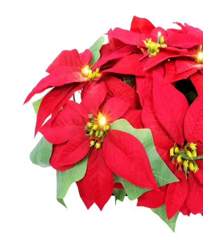 Puleo 24" Pre-lit Artificial Red Poinsettia Window Box Decor In Multi