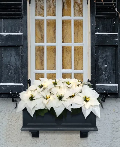 Puleo 24" Pre-lit Artificial White Poinsettia Window Box Decor In White