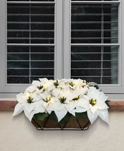 Puleo 24" Pre-lit Artificial White Poinsettia Window Box Decor In White