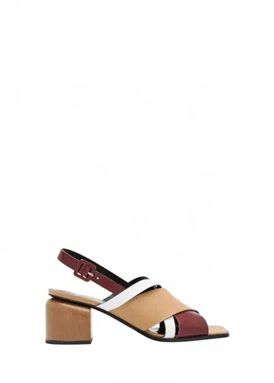 Pierre Hardy Women's Alpha Cross Sandal In Burgundy Cappucino White In Multi
