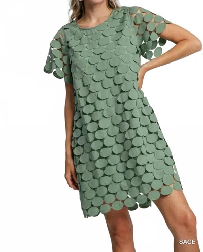 Umgee Polka Dot Lace Dress In Sage Green In Green