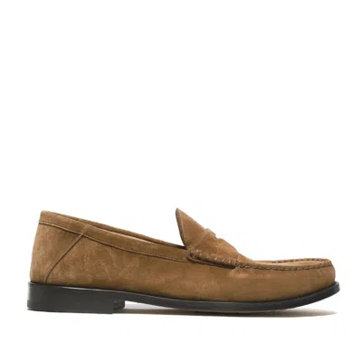 Rossano Bisconti Cigar Brown Soft Suede Moccasin In Brown