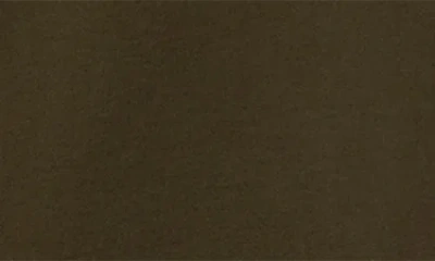 Quiksilver Dna Beach Stretch Cotton Pants In Green