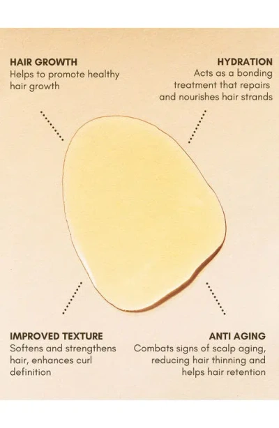 Bur Bur Growing Season Burdock Hair Growth And Repair Oil In Transparent