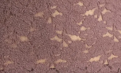 Vince Lace Long Sleeve Polo Top In Neutral