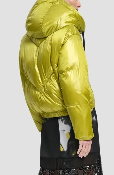 Dkny Women's Cropped Puffer Jacket In Yellow