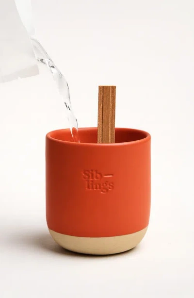 Siblings Tomtens Pomander Clean Candle Starter Set In Orange