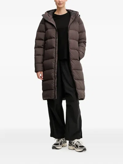 Jack Wolfskin Frozen Palace Hooded Padded Coat In Brown