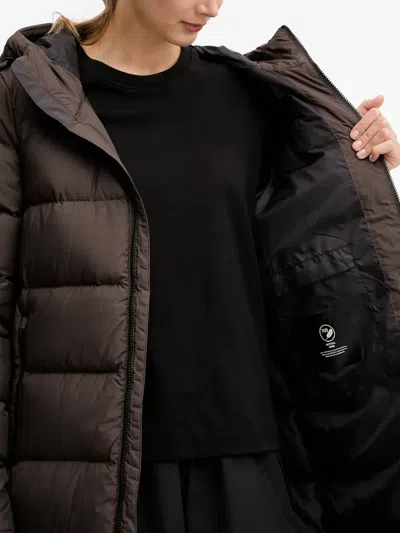 Jack Wolfskin Frozen Palace Hooded Padded Coat In Brown