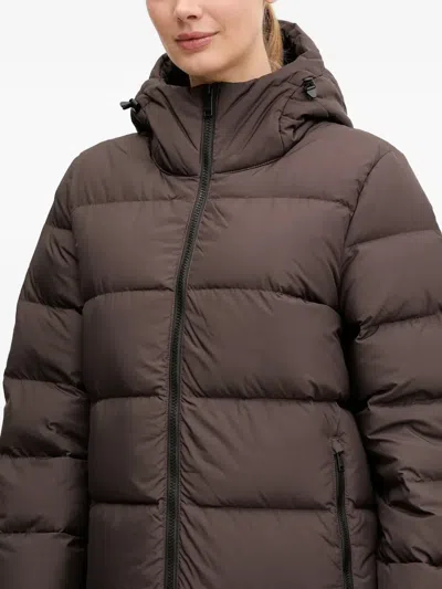Jack Wolfskin Frozen Palace Hooded Padded Coat In Brown