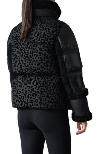 Mackage Lydana Leopard Pattern Down Jacket With Genuine Shearling Trim And Removable Bib In Black
