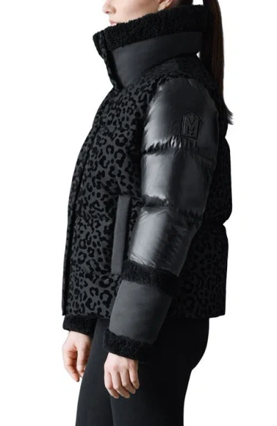Mackage Lydana Leopard Pattern Down Jacket With Genuine Shearling Trim And Removable Bib In Black