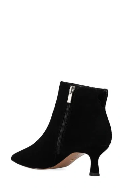 Pelle Moda Kiesa Pointed Toe Kitten Heel Bootie In Black