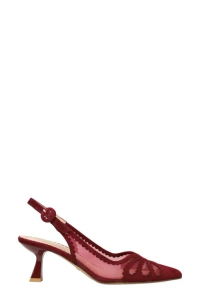 Pelle Moda Jacie Slingback Pointed Toe Pump In Burgundy