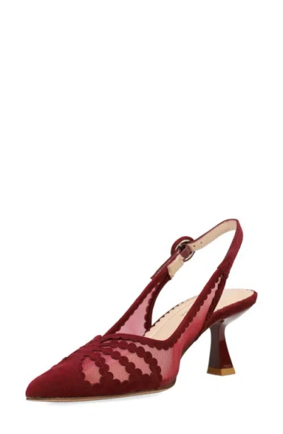 Pelle Moda Jacie Slingback Pointed Toe Pump In Burgundy