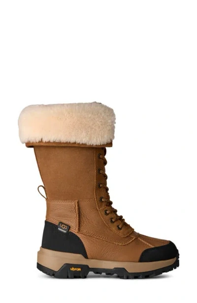 Ugg Adirondack Tall Boot Iii In Brown