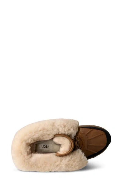 Ugg Adirondack Tall Boot Iii In Brown