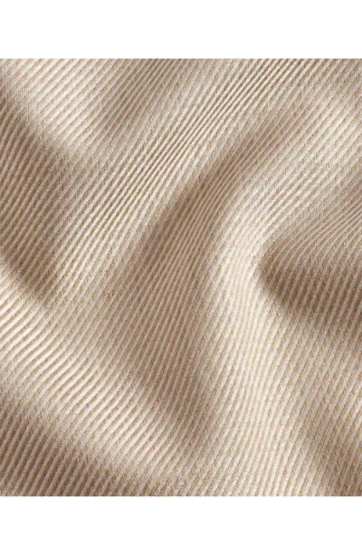 David Donahue Solid Sport Shirt In Neutral