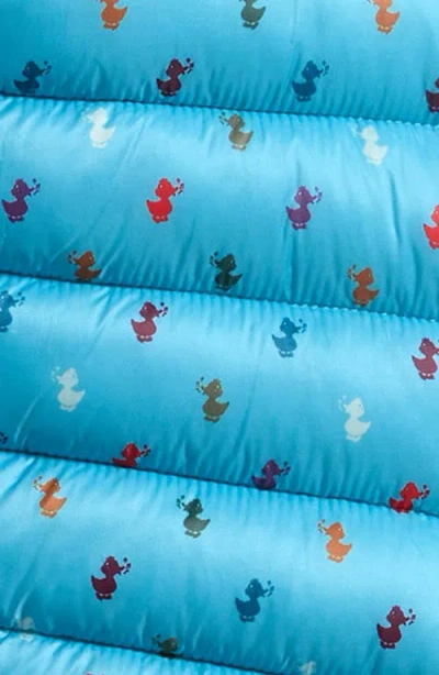 Save The Duck Cas Quilted Bunting In Blue