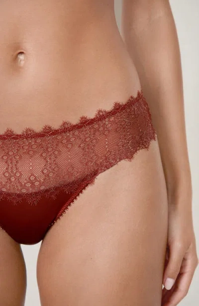 Etam Allusion Tulle & Lace Hipster Panties In Brown