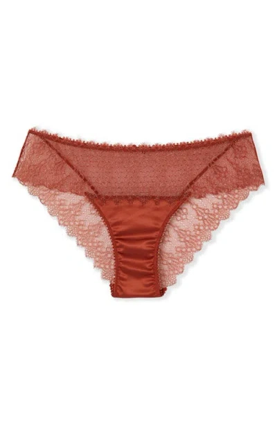 Etam Allusion Tulle & Lace Hipster Panties In Brown