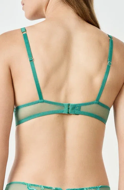 Etam Prelude Classique Embroidered Underwire Bra In Green
