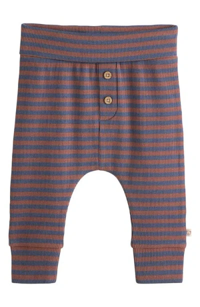 Next Animal Graphic Sweatshirt & Joggers Set In Multi